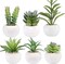 Set of 6 Succulents Plants Artificial in Mini White Ceramic Pots Small Fake Succulents Plant Faux Indoor Decor Windowsills Bedroom Desk Bathroom Office Home Decoration